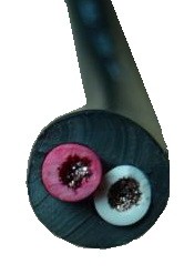 תמונה ללא תיאור