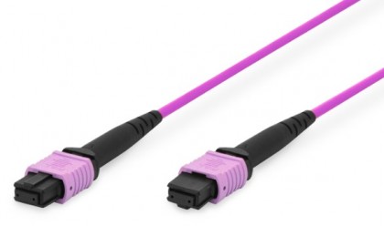 מגשר אופטי MPO F-F TYPE B 12*OM4 באורך 1 מטר